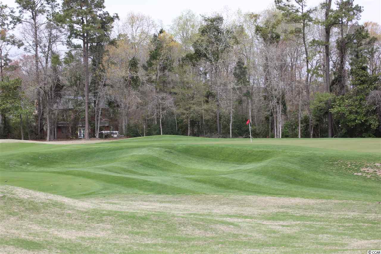 4654 Fringetree Drive, Unit 7A Murrells Inlet, SC 29576 - Photo 23 of 25 Gallery Image 23