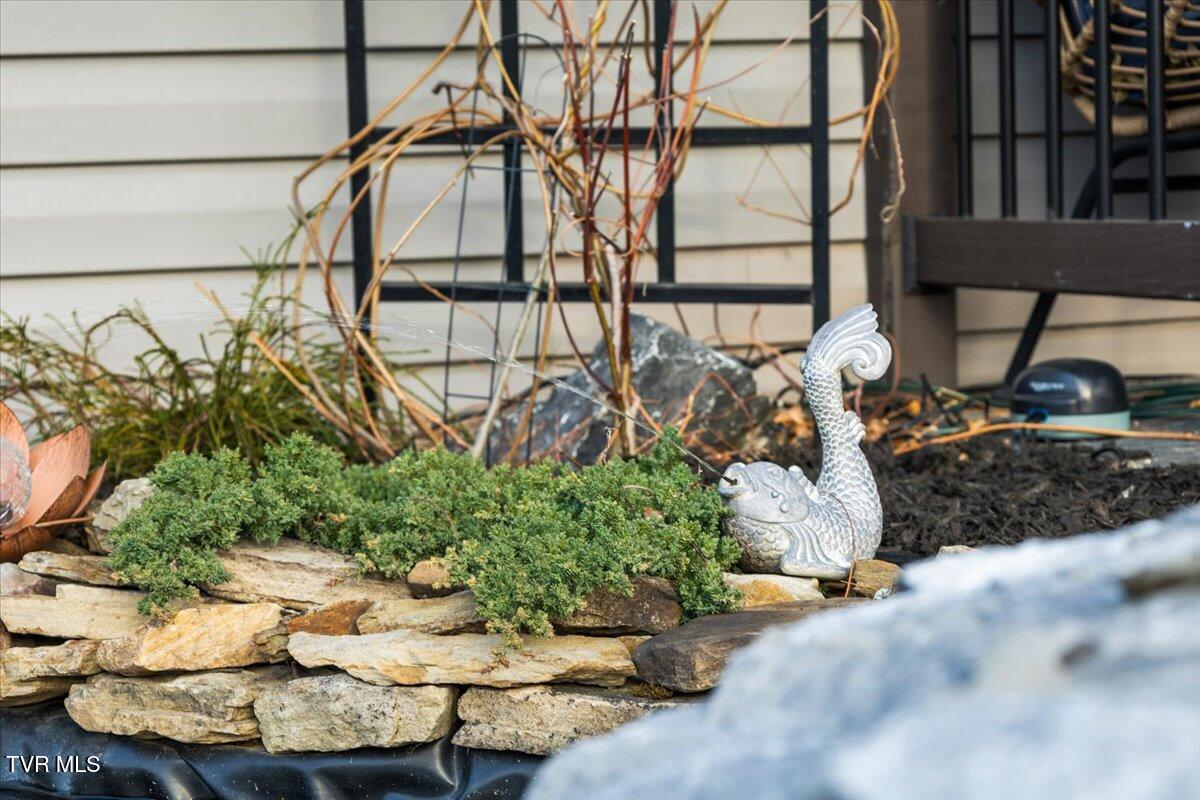 994 Boones Creek Road Jonesborough, TN 37659 - Photo 38 of 49 Water Garden