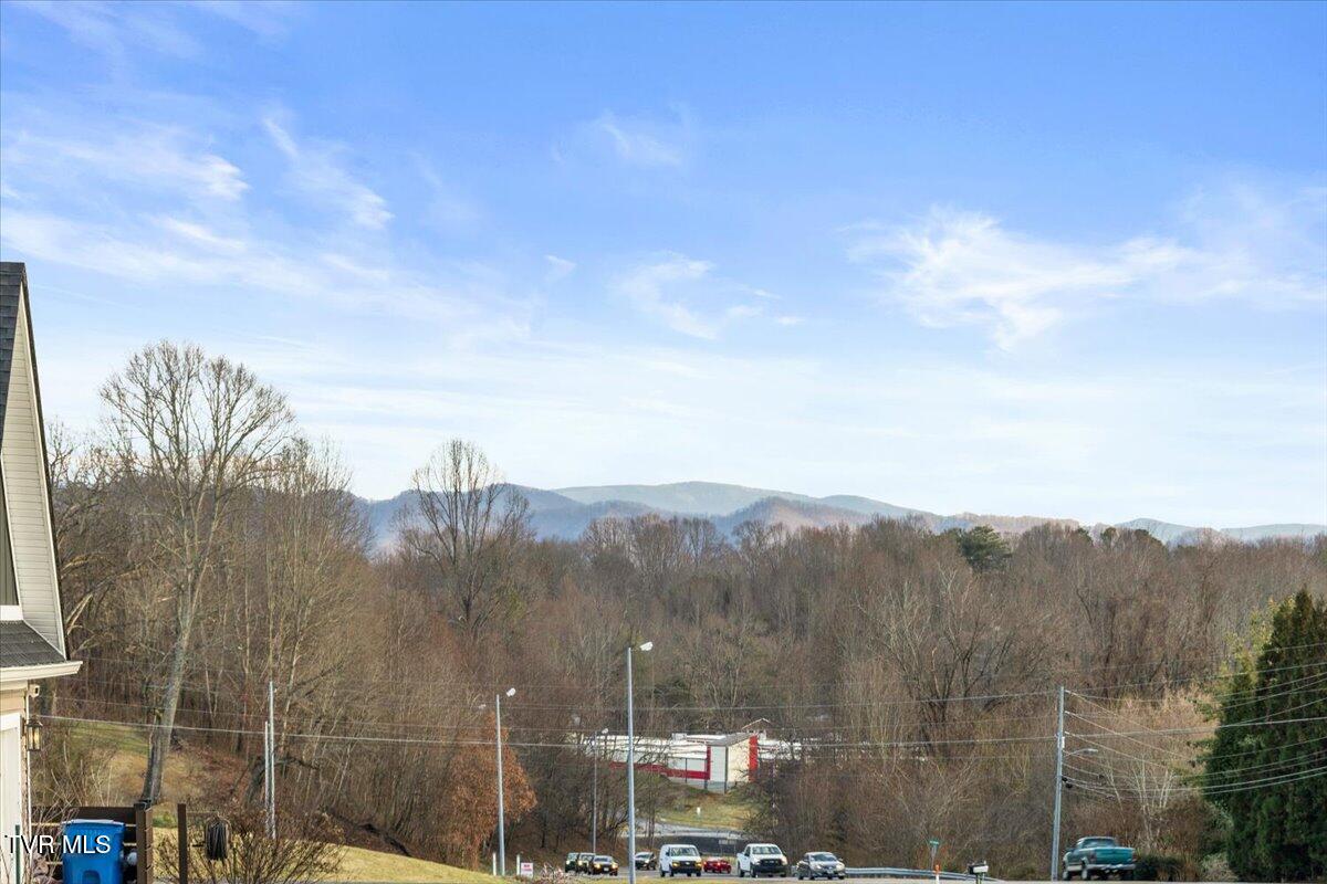 994 Boones Creek Road Jonesborough, TN 37659 - Photo 39 of 49 Mountain View