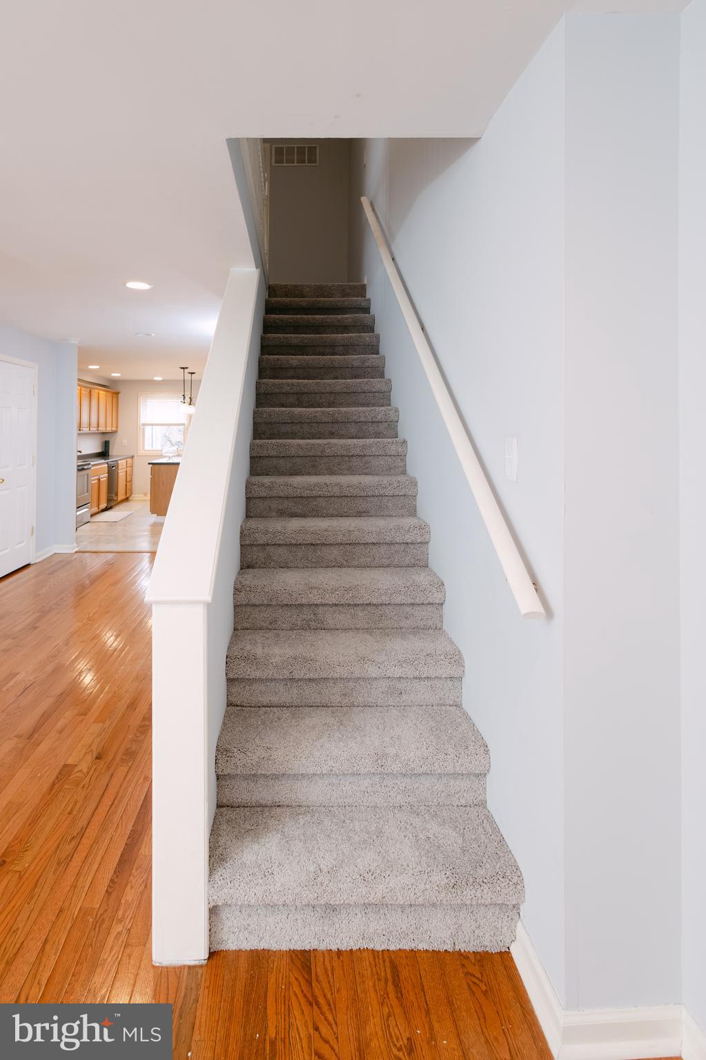 3732 Falls Road Baltimore, MD 21211 - Photo 14 of 46 a view of entryway and hall with wooden floor