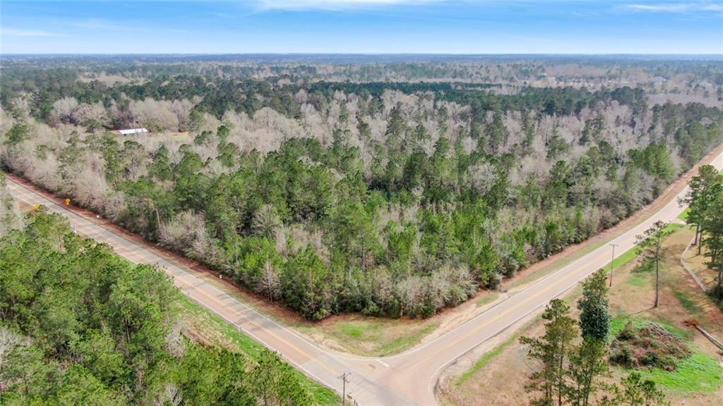 1082 Rd Bush La Bush, LA 70431 - Photo 4 of 6