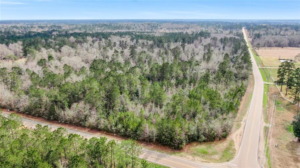 1082 Rd Bush La Bush, LA 70431 - Photo 5 of 6
