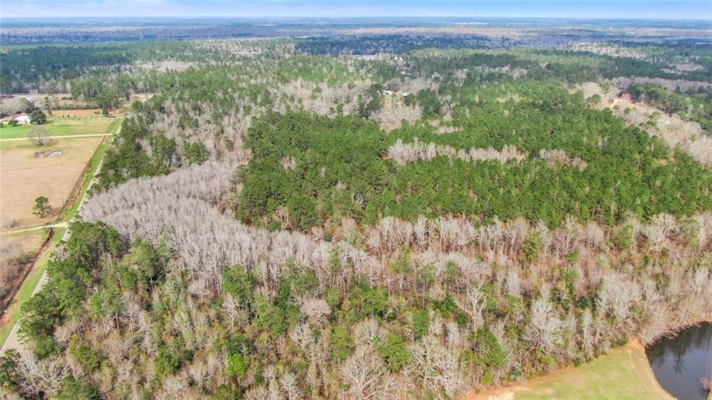 1082 Rd Bush La Bush, LA 70431 - Photo 6 of 6