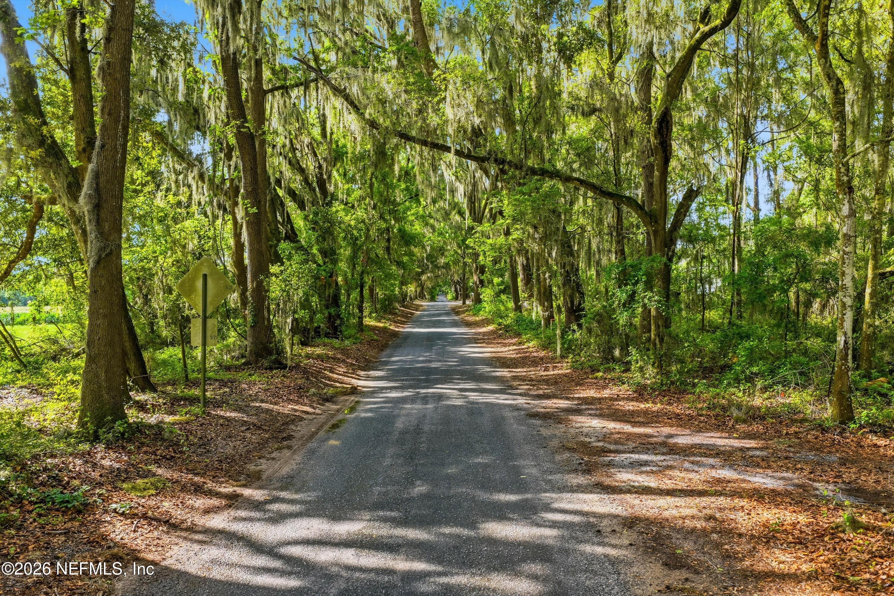 25417 Old Bellamy Road High Springs, FL 32643 - Photo 5 of 16 05-Street View