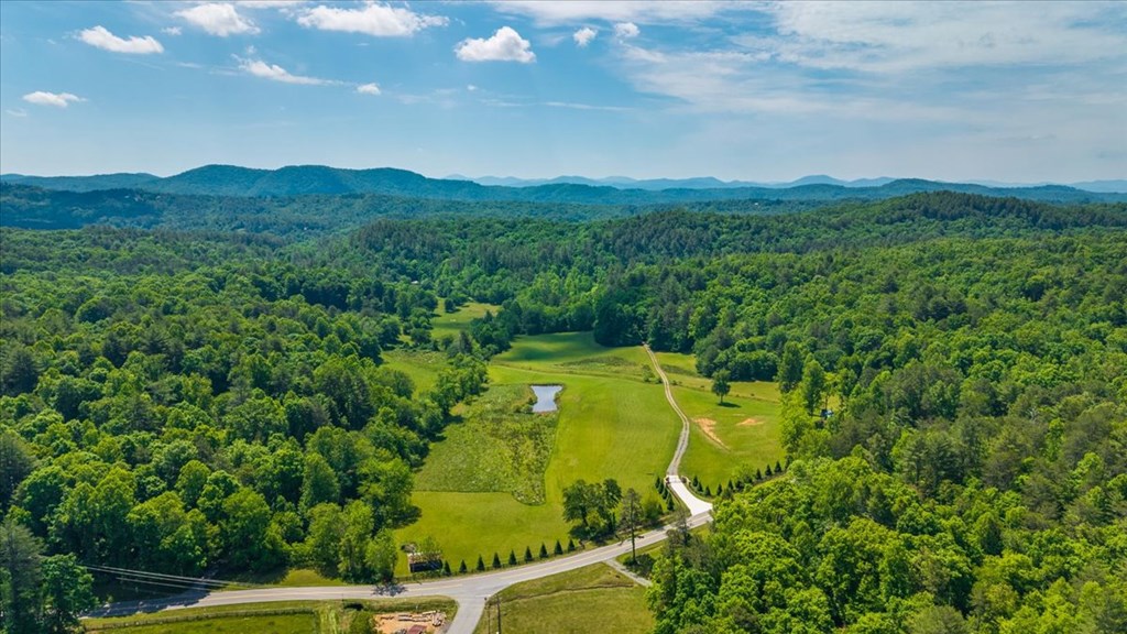5260 Hardscrabble Road Mineral Bluff, GA 30559 - Photo 5 of 52