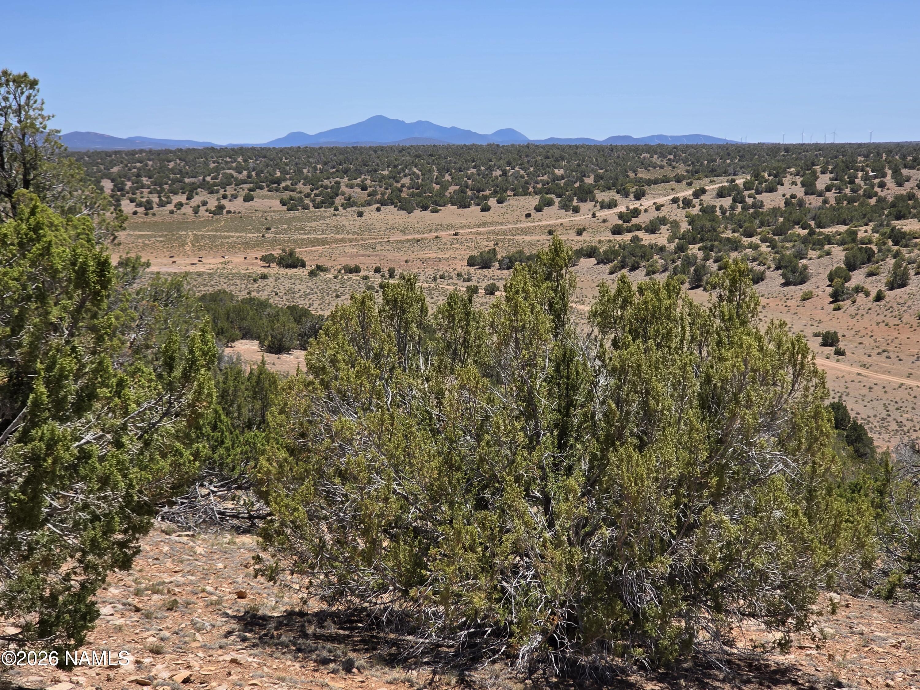 9966 Northstar Road Williams, AZ 86046 - Photo 32 of 37 1000065045