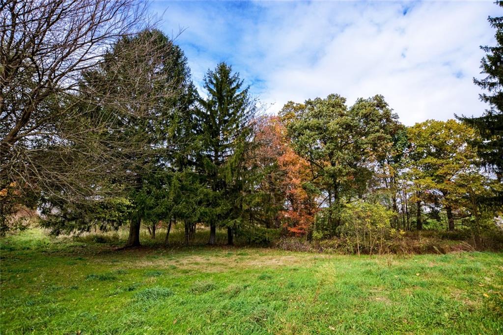 272 Hannahstown Road Cabot, PA 16023 - Photo 8 of 25 Gallery Image 8