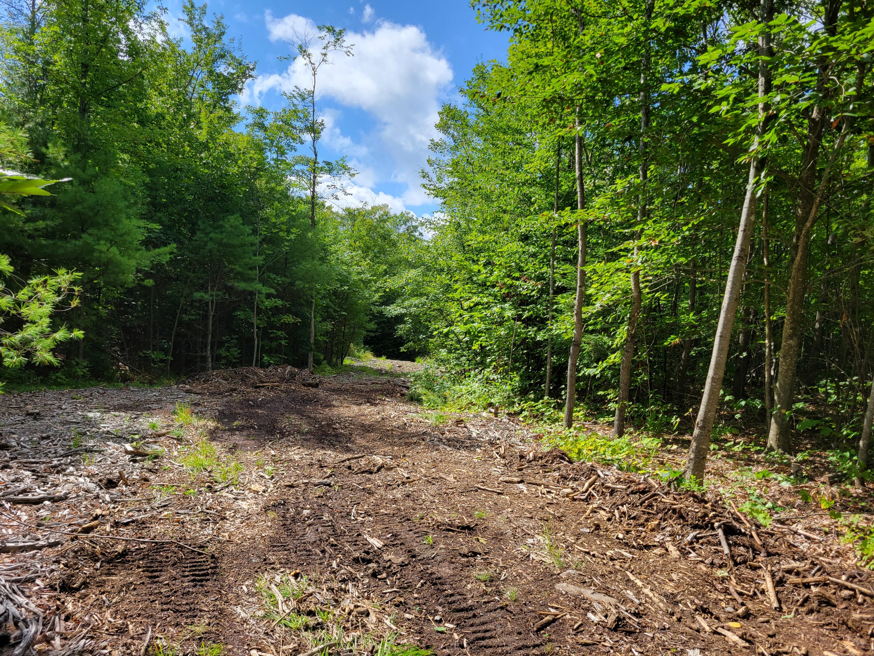 216 North Taylor Road Mount Vernon, ME 04352 - Photo 4 of 5 ntaylor4clearA