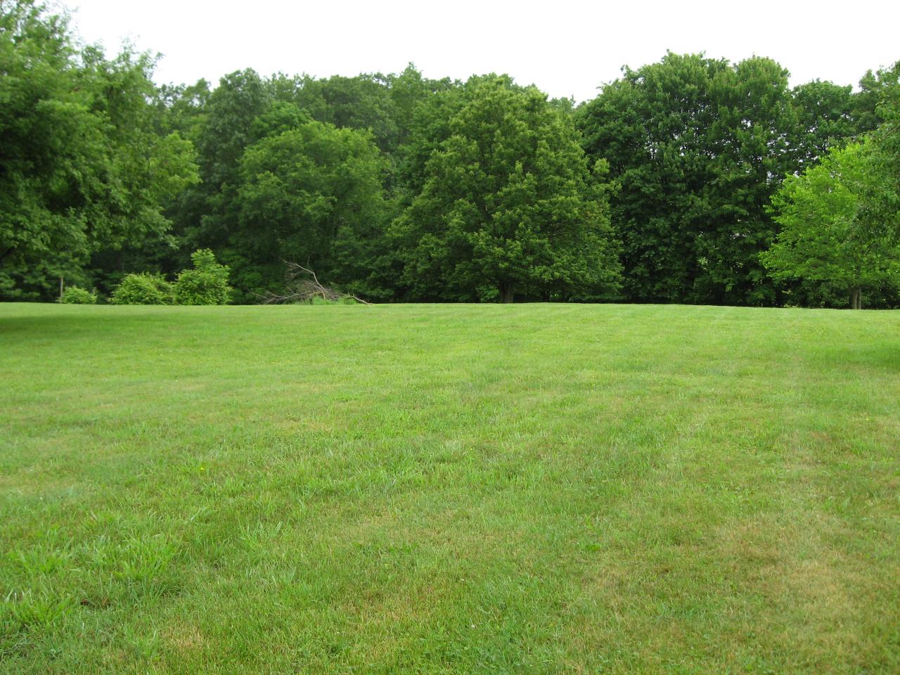 256 Henson Road Crawley, WV 24931 - Photo 21 of 22 back yard 2