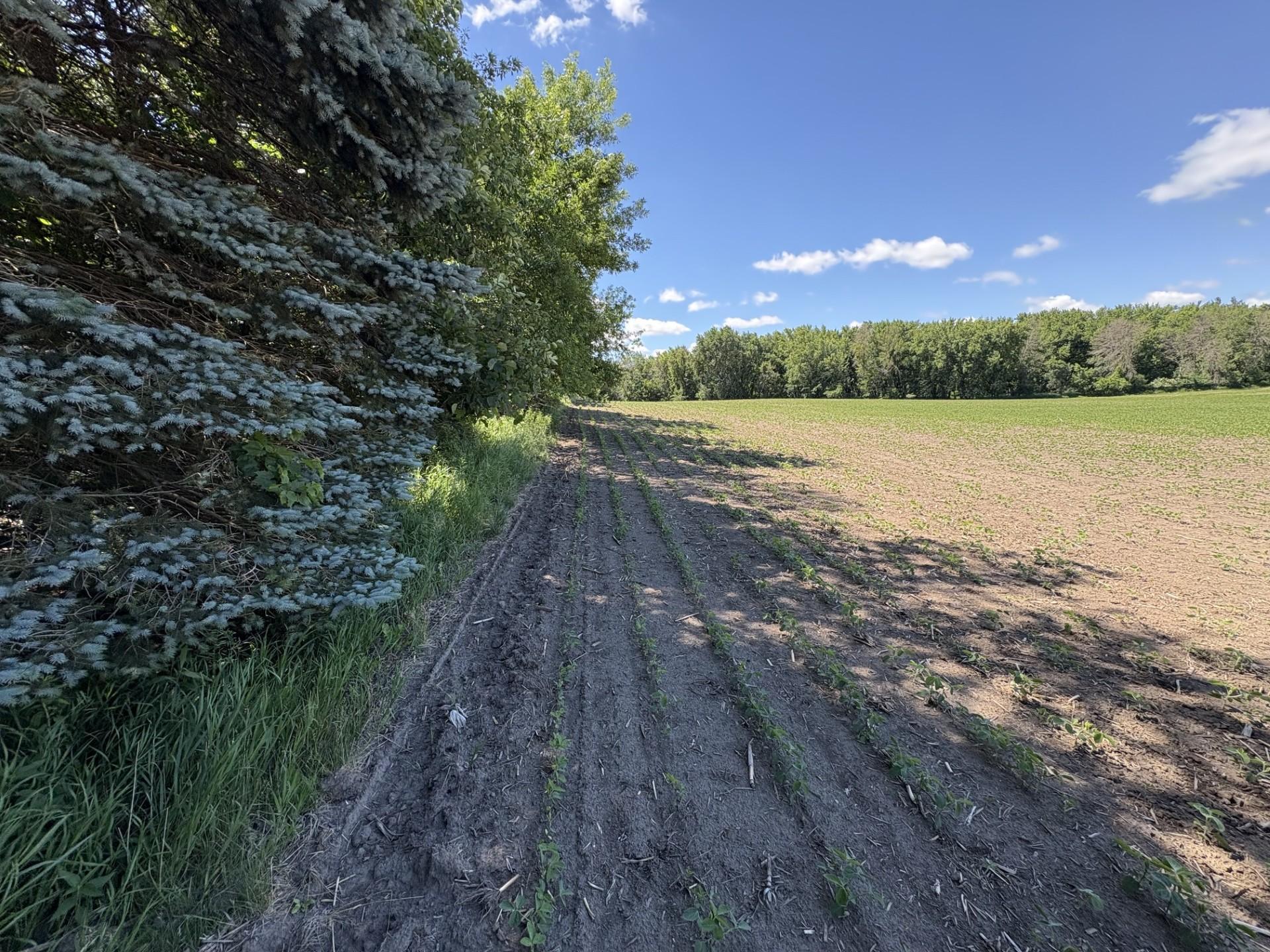 Tbd Base Line Road Northfield, MN 55057 - Photo 4 of 51