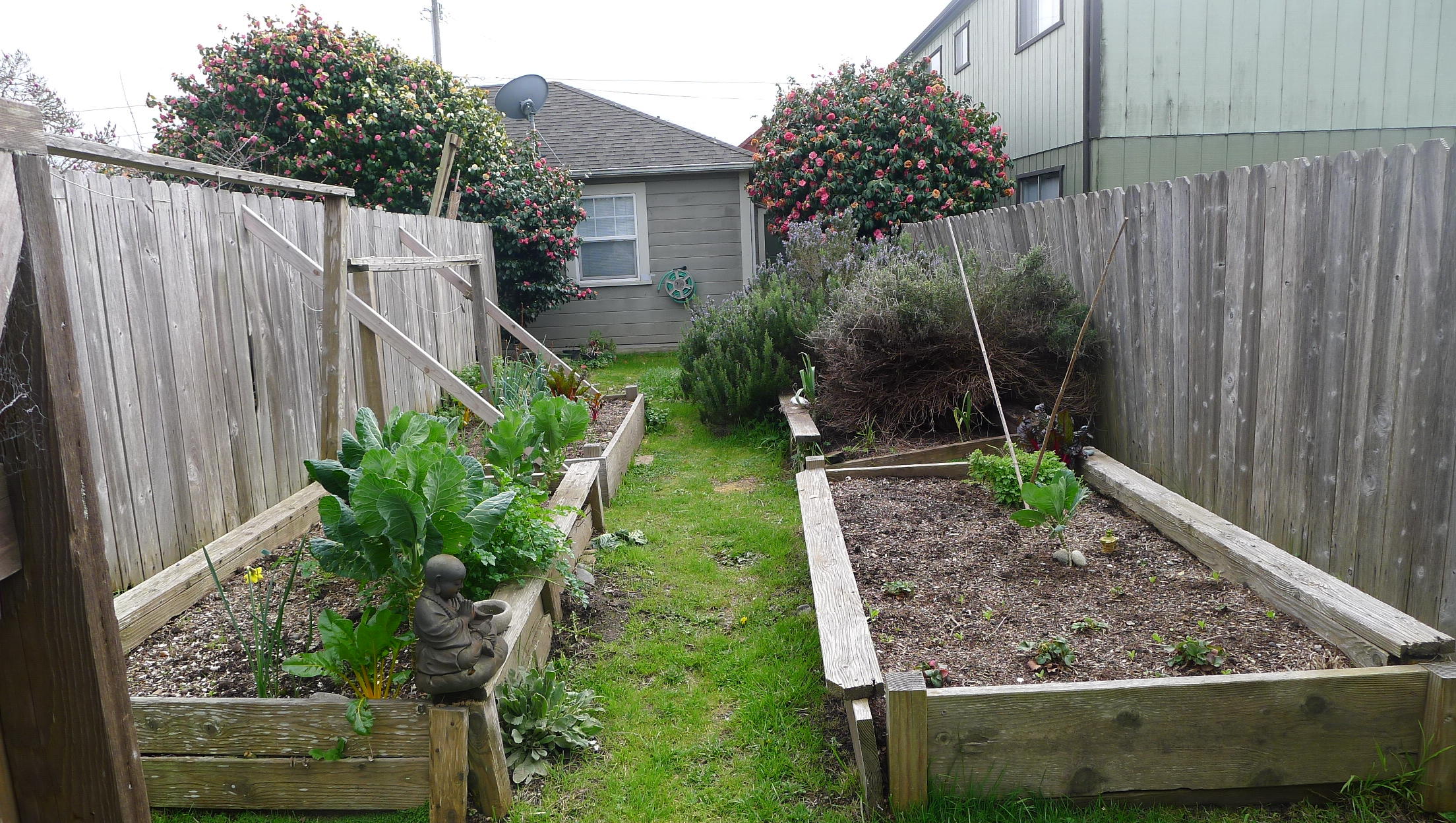 619 G Street Arcata, CA 95521 - Photo 8 of 15