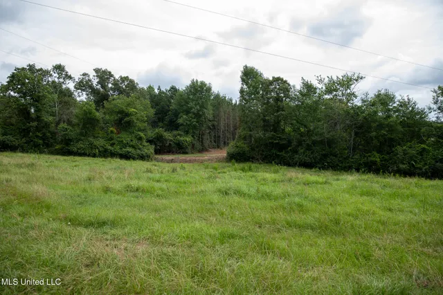 $215,000 | Sam Durr Rd Mount, Mount Olive, MS 39119