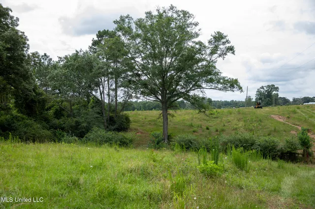 $215,000 | Sam Durr Rd Mount, Mount Olive, MS 39119