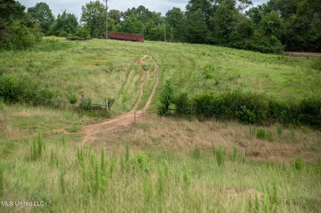 $215,000 | Sam Durr Rd Mount, Mount Olive, MS 39119