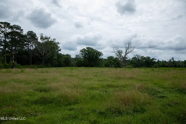 $215,000 | Sam Durr Rd Mount, Mount Olive, MS 39119