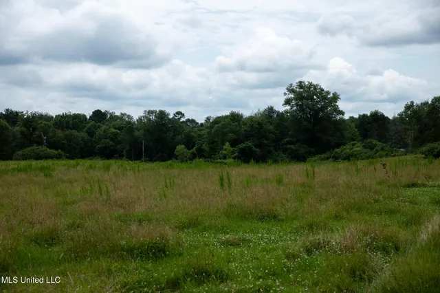 $215,000 | Sam Durr Rd Mount, Mount Olive, MS 39119