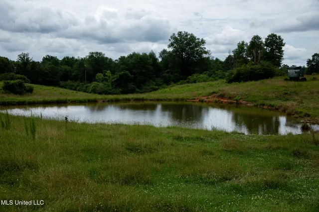$215,000 | Sam Durr Rd Mount, Mount Olive, MS 39119