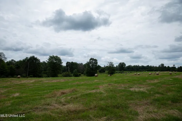 $215,000 | Sam Durr Rd Mount, Mount Olive, MS 39119