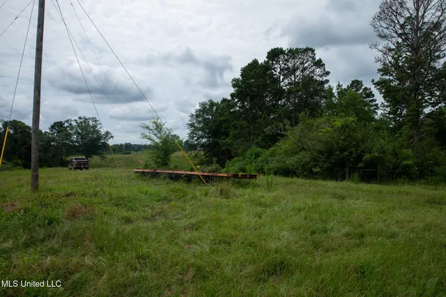 $215,000 | Sam Durr Rd Mount, Mount Olive, MS 39119
