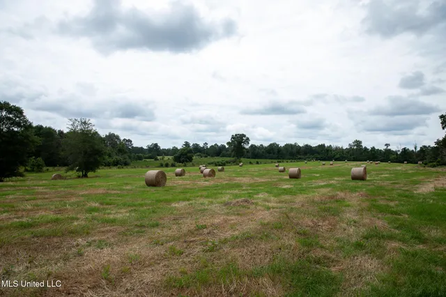 $215,000 | Sam Durr Rd Mount, Mount Olive, MS 39119