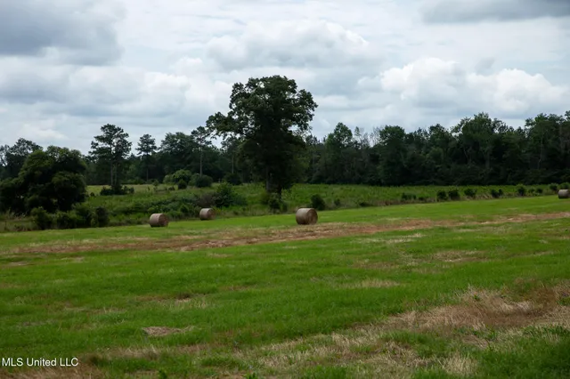 $215,000 | Sam Durr Rd Mount, Mount Olive, MS 39119