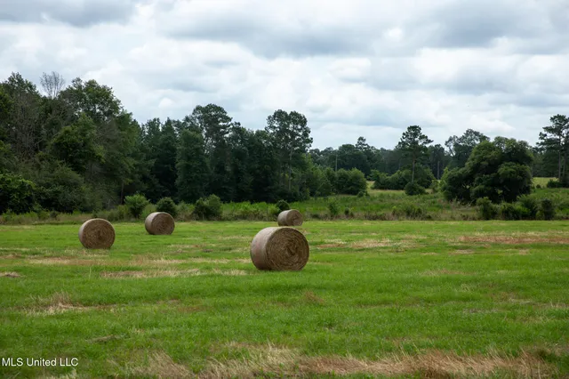 $215,000 | Sam Durr Rd Mount, Mount Olive, MS 39119