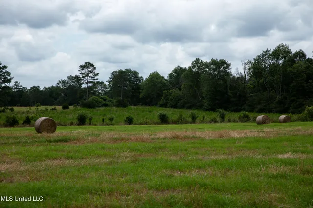 $215,000 | Sam Durr Rd Mount, Mount Olive, MS 39119