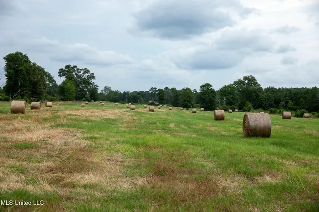$215,000 | Sam Durr Rd Mount, Mount Olive, MS 39119