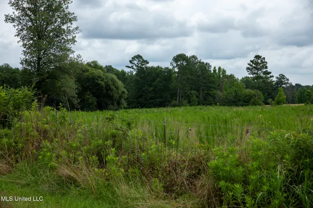 $215,000 | Sam Durr Rd Mount, Mount Olive, MS 39119