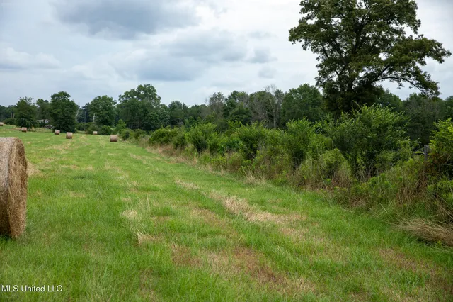 $215,000 | Sam Durr Rd Mount, Mount Olive, MS 39119