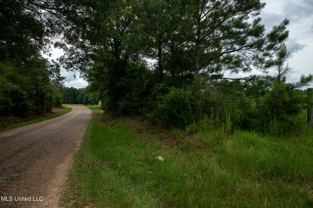 $215,000 | Sam Durr Rd Mount, Mount Olive, MS 39119