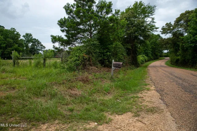 $215,000 | Sam Durr Rd Mount, Mount Olive, MS 39119