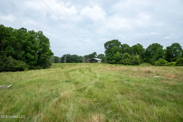 $215,000 | Sam Durr Rd Mount, Mount Olive, MS 39119