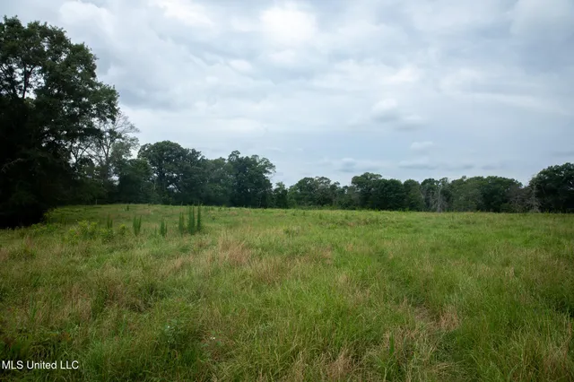 $215,000 | Sam Durr Rd Mount, Mount Olive, MS 39119