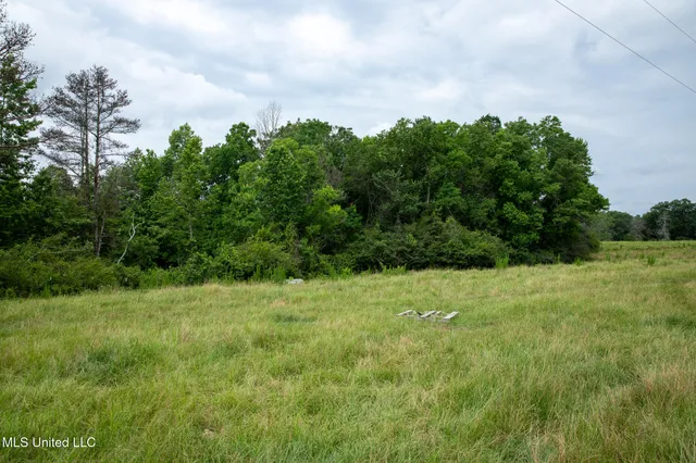 $215,000 | Sam Durr Rd Mount, Mount Olive, MS 39119