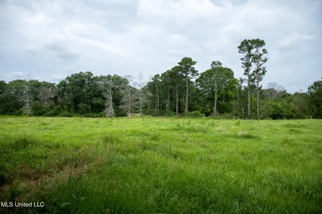 $215,000 | Sam Durr Rd Mount, Mount Olive, MS 39119