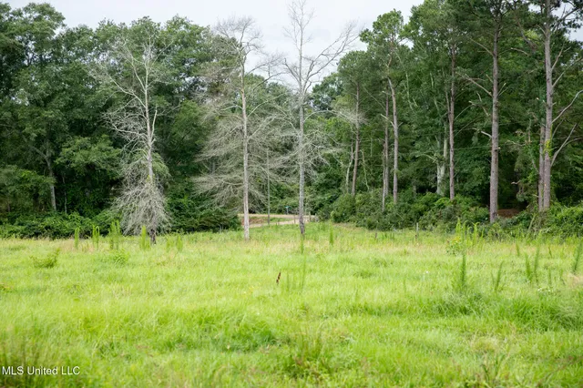 $215,000 | Sam Durr Rd Mount, Mount Olive, MS 39119