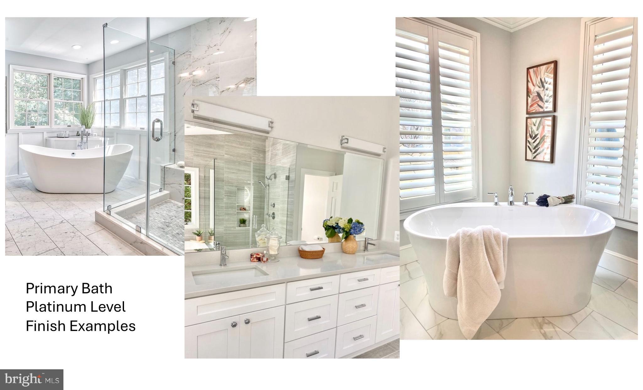 527 Bay View Point Drive Edgewater, MD 21037 - Photo 8 of 18 Platinum level finishes are included