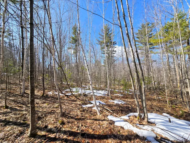 $149,900 | 0 Sabattus Trail Road, Lovell, ME 04051