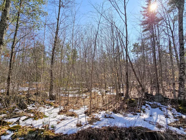 $149,900 | 0 Sabattus Trail Road, Lovell, ME 04051