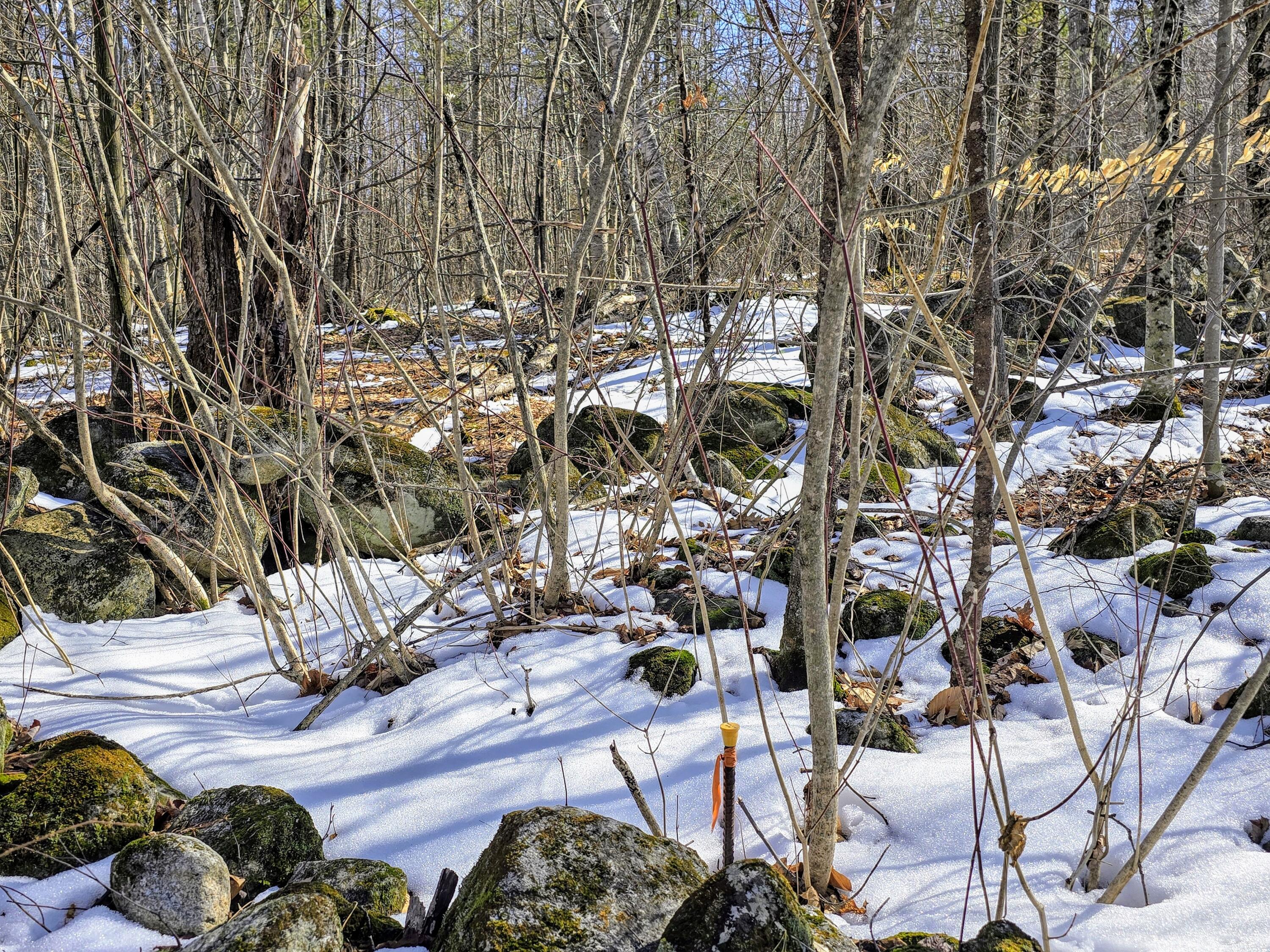 0 Sabattus Trail Road Lovell, ME 04051 - Photo 13 of 22 20250401_153059~3