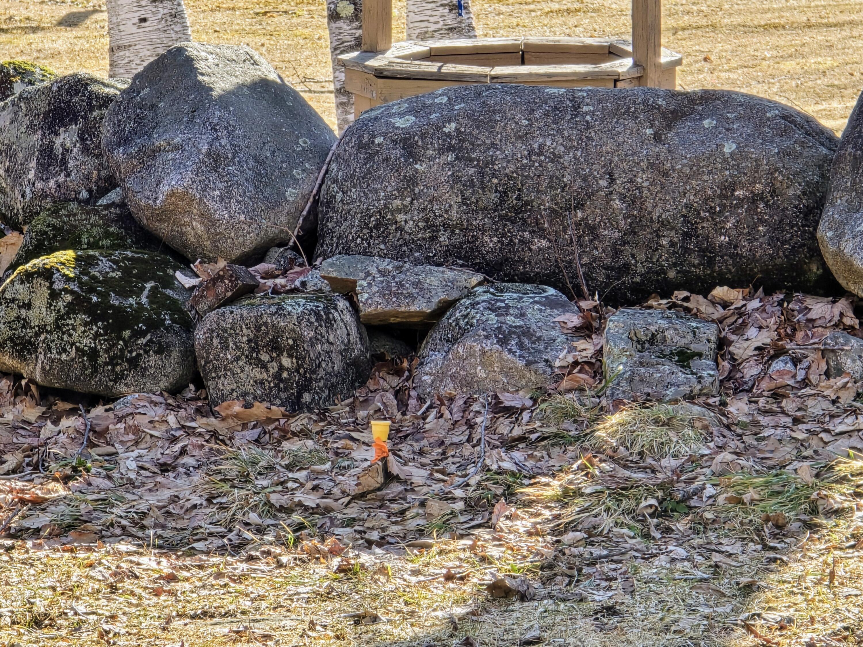 0 Sabattus Trail Road Lovell, ME 04051 - Photo 2 of 22 1000004329