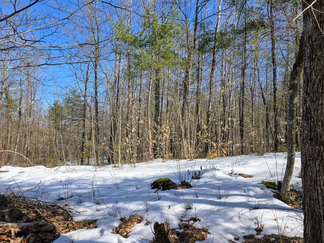 $149,900 | 0 Sabattus Trail Road, Lovell, ME 04051