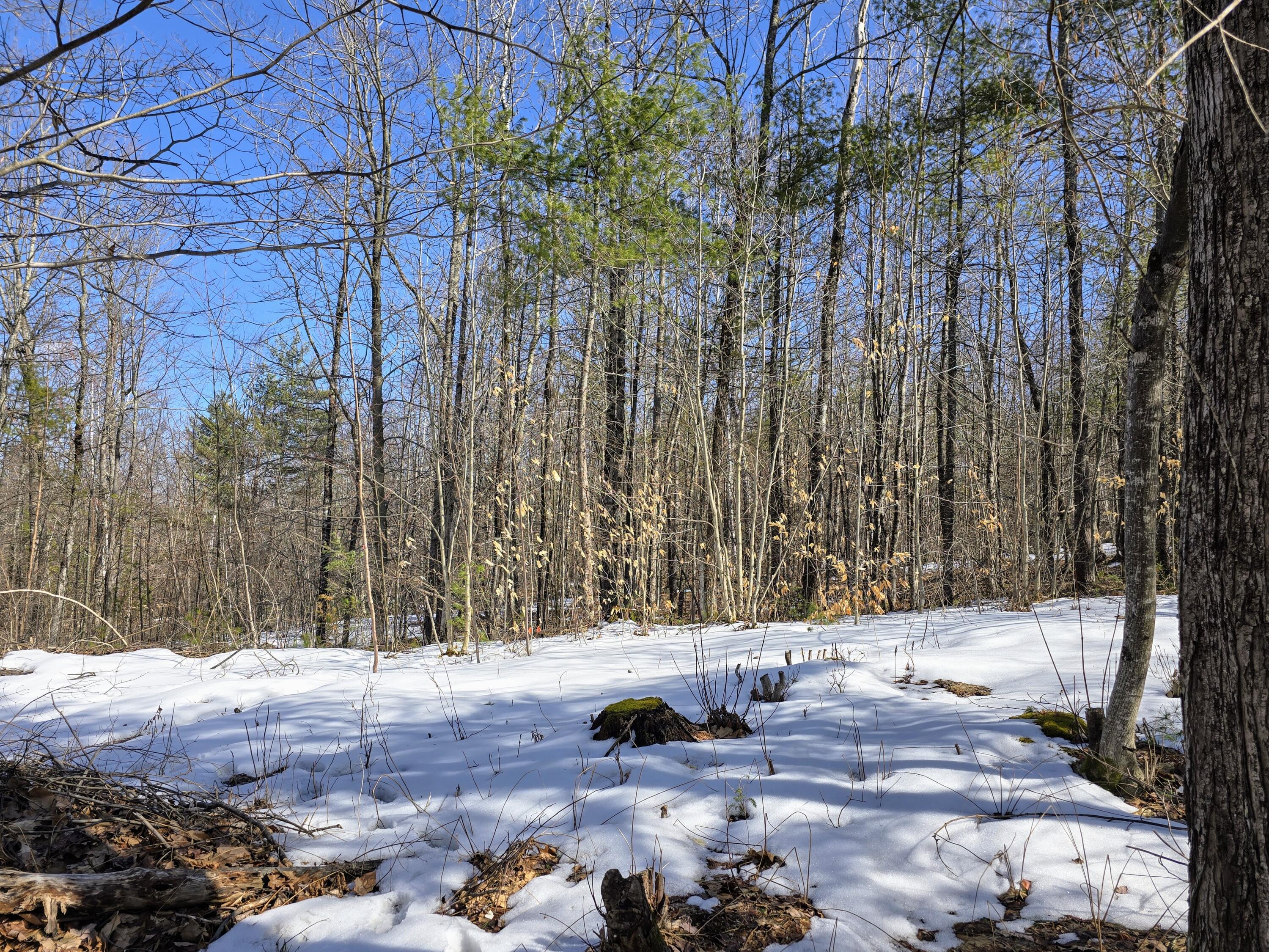 0 Sabattus Trail Road Lovell, ME 04051 - Photo 5 of 22 1000004339