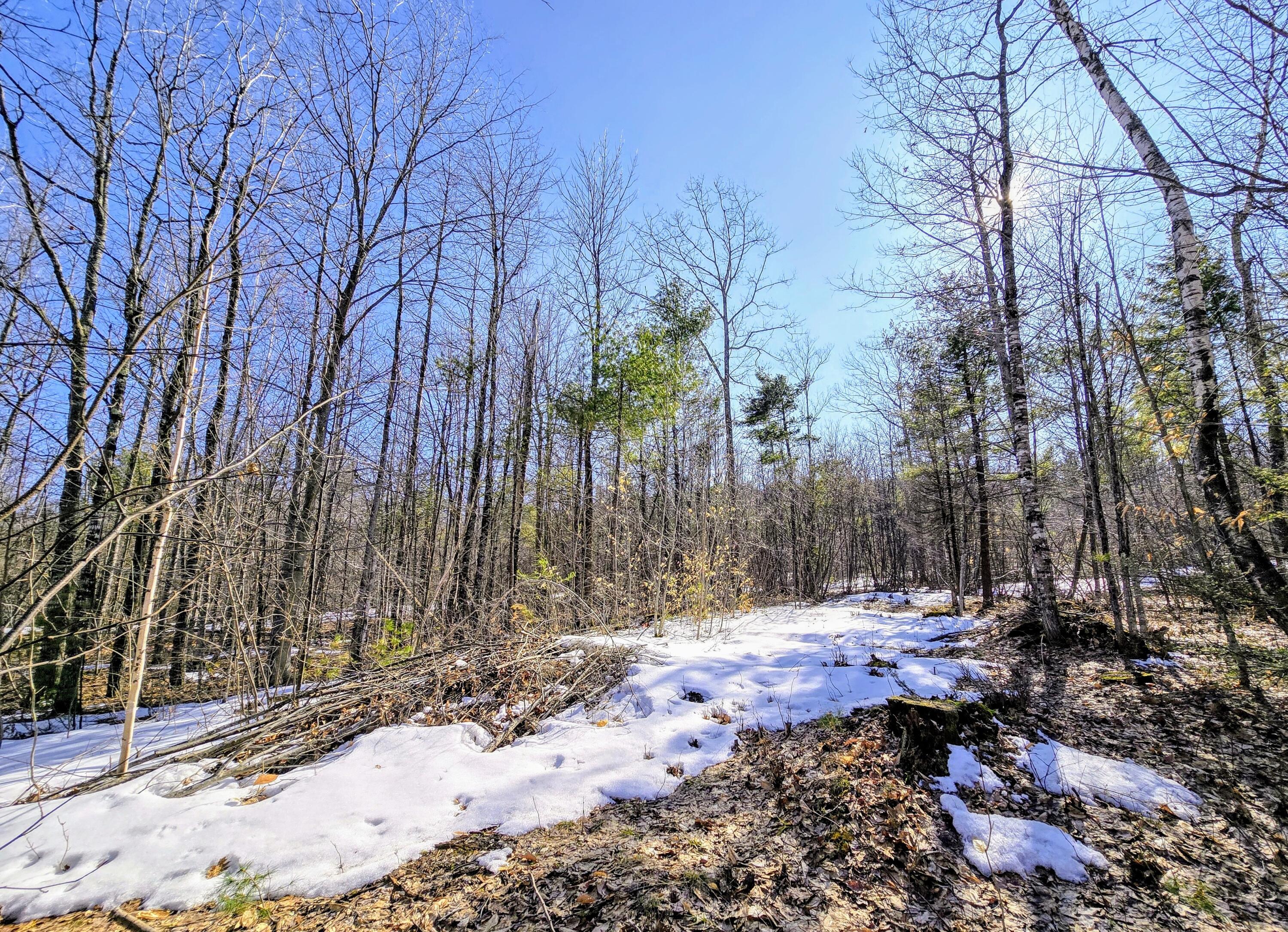 0 Sabattus Trail Road Lovell, ME 04051 - Photo 6 of 22 20250401_153246~5