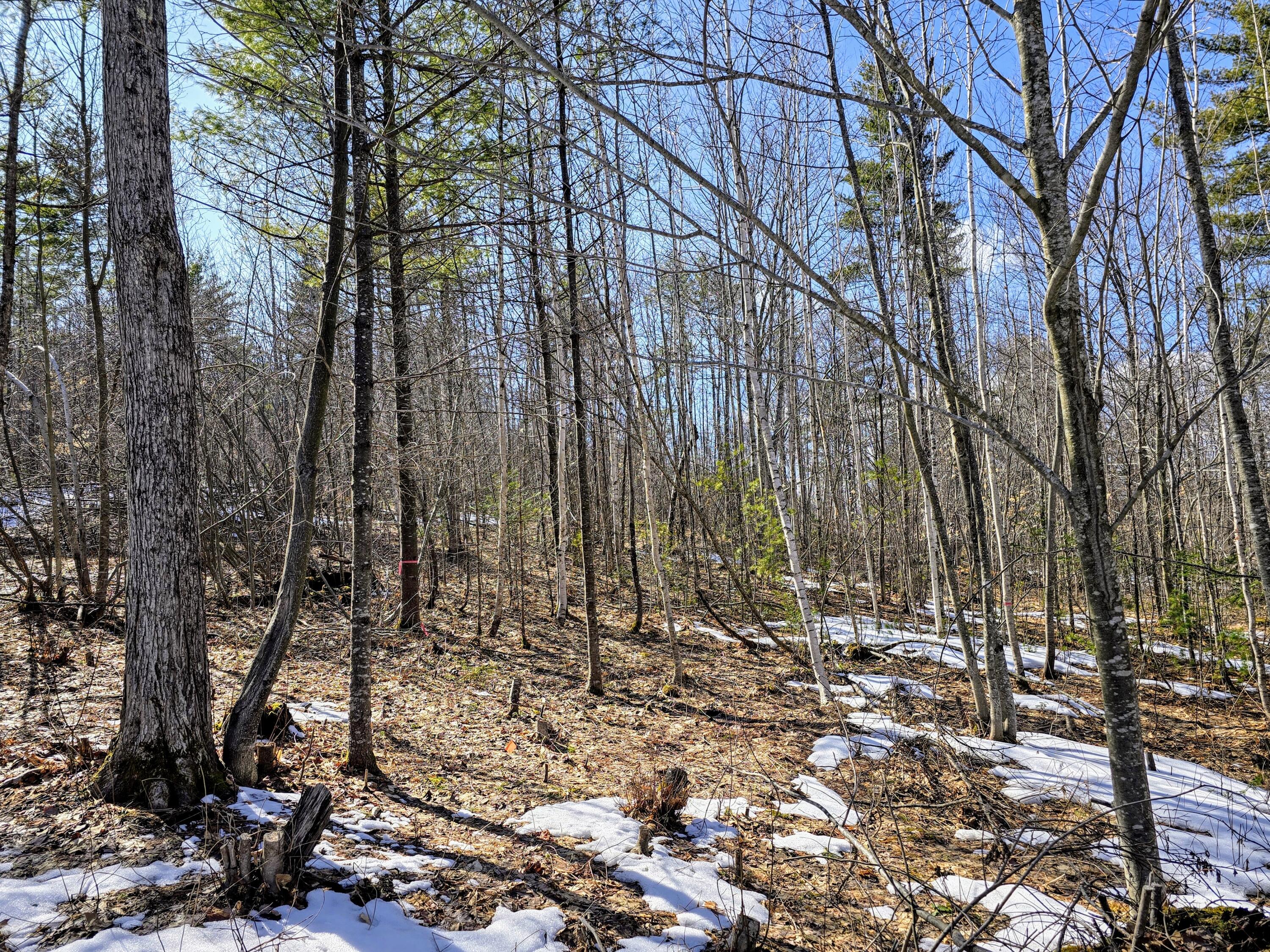 0 Sabattus Trail Road Lovell, ME 04051 - Photo 7 of 22 1000004342