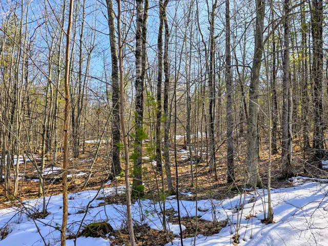 $149,900 | 0 Sabattus Trail Road, Lovell, ME 04051