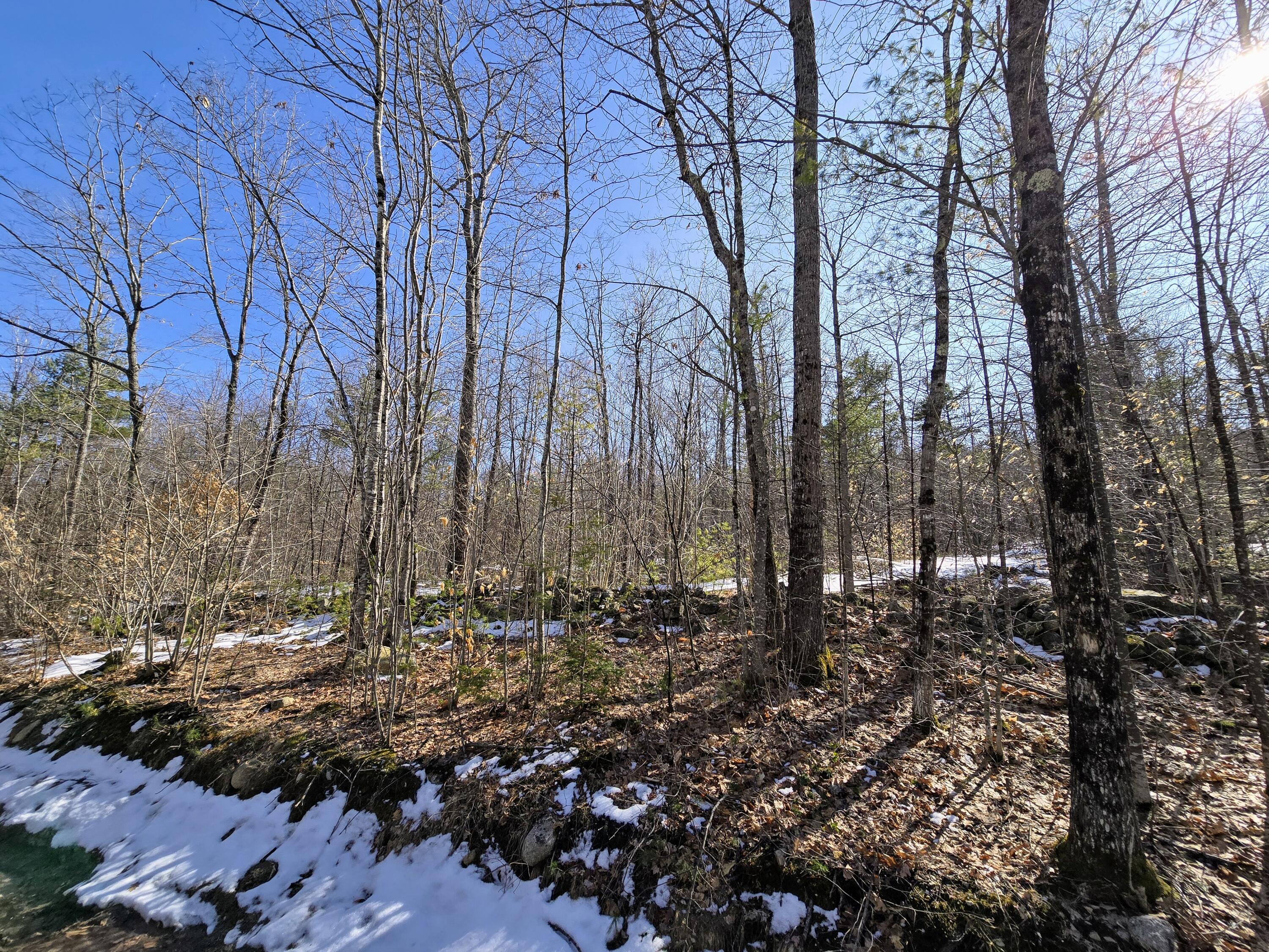 0 Sabattus Trail Road Lovell, ME 04051 - Photo 10 of 22 20250401_153204~2