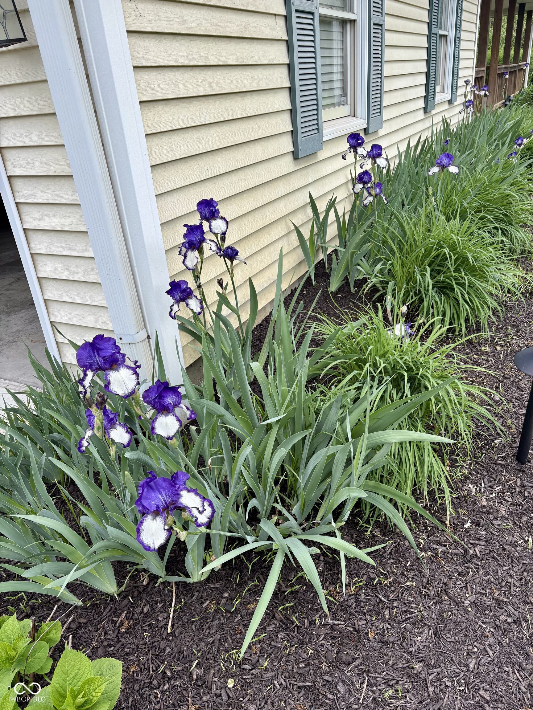 5488 North German Church Road Indianapolis, IN 46235 - Photo 8 of 59