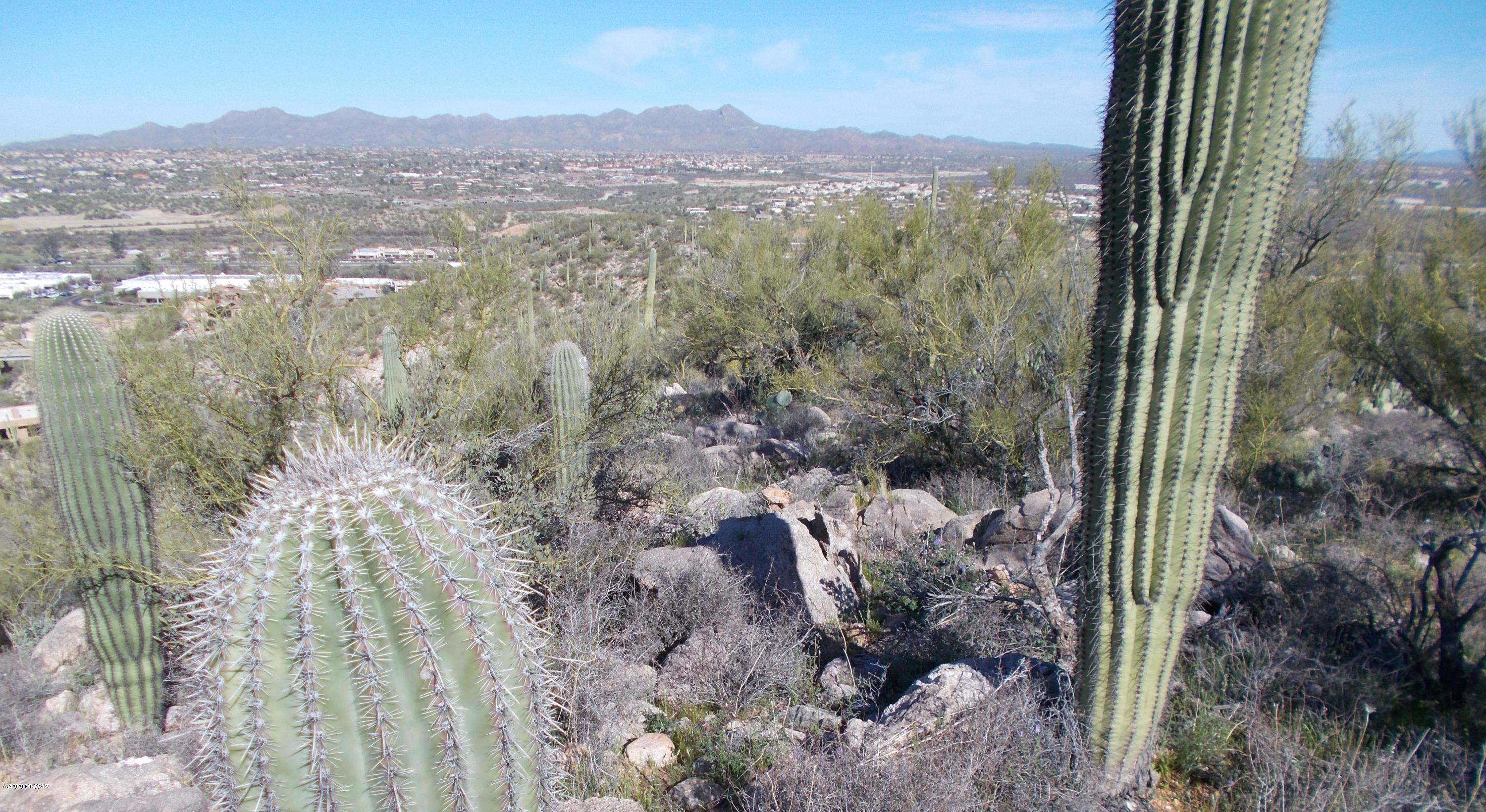 2280 Della Roccia Court, Unit 19 Oro Valley, AZ 85737 - Photo 17 of 20 a view of city and mountain